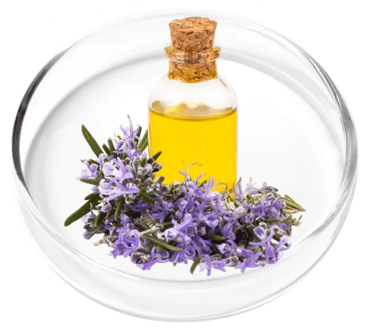 Lavender Oil used in the KeraFirm Pro nail and skin blend
