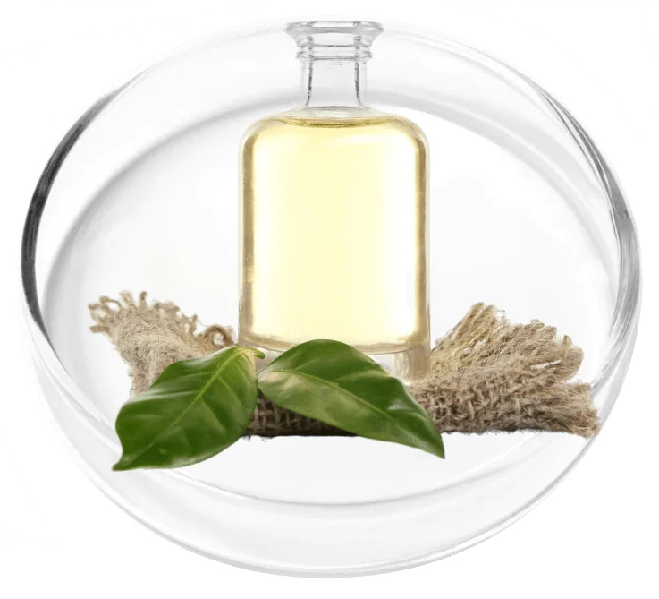 Camphor Oil used in the KeraFirm Pro nail and skin blend
